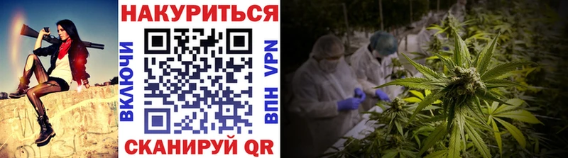 Меф Тогучин