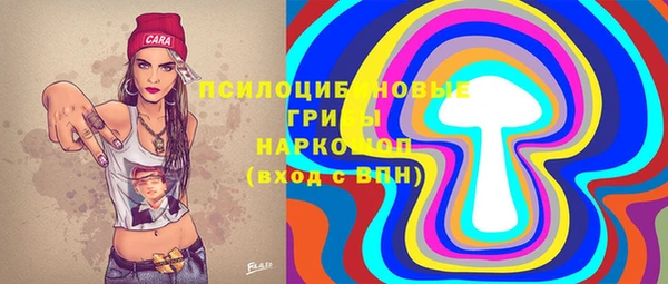 СК Белокуриха